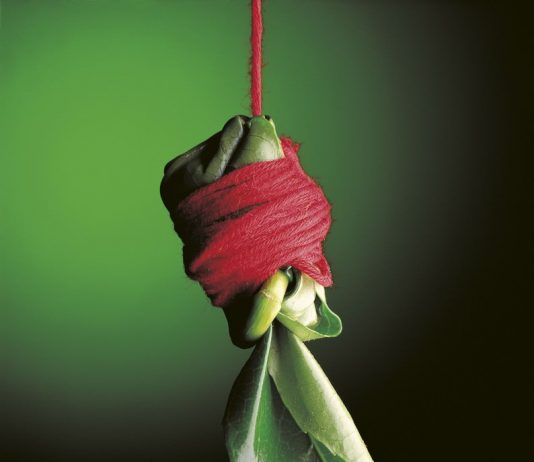 Giuliano Francesconi – Fil rouge