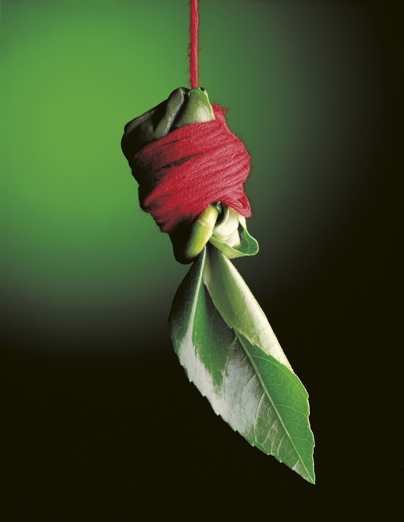 Giuliano Francesconi – Fil rougehttps://www.exibart.com/repository/media/eventi/2014/02/giuliano-francesconi-8211-fil-rouge.jpg