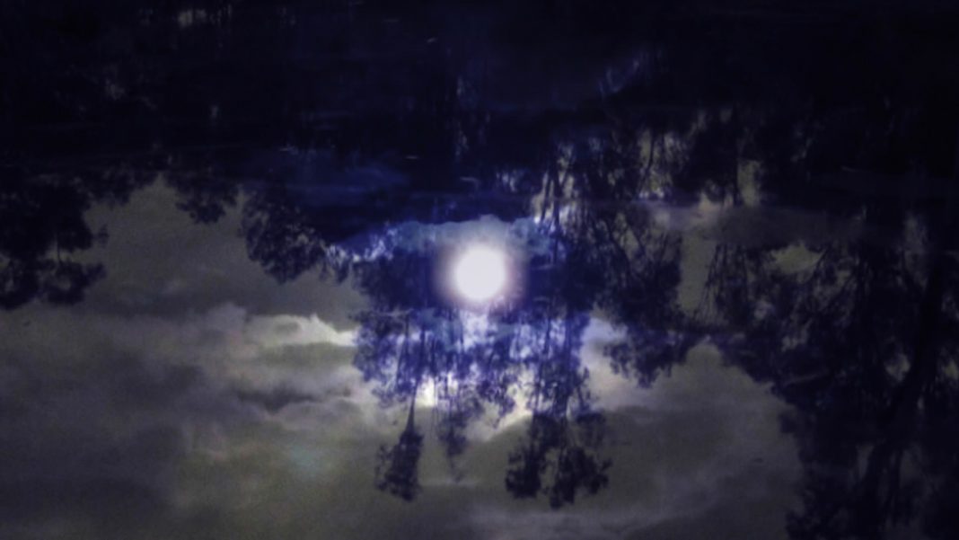 Josephine Telfer e John  Phillips. Above the sound of many voices-White Night Melbourne@Brachttps://www.exibart.com/repository/media/eventi/2014/02/josephine-telfer-e-john-phillips.-above-the-sound-of-many-voices-white-night-melbourne@brac-1068x601.jpg