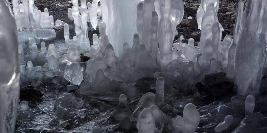 Luca Trevisani – Glaucocamaleohttps://www.exibart.com/repository/media/eventi/2014/02/luca-trevisani-8211-glaucocamaleo.jpg