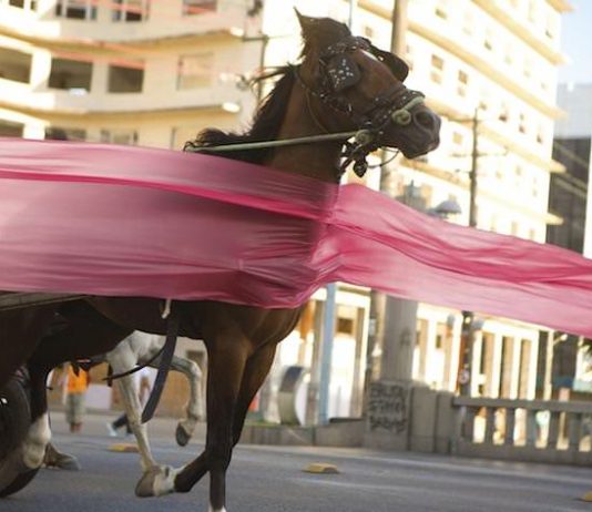 Marcelo Cidade / Jonathas de Andrade / André Komatsu