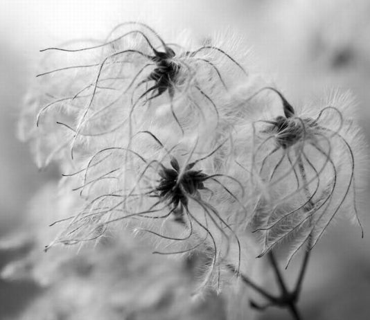 Marian Vanzetto – Paesaggio rivelato. Indagine visiva sul paesaggio naturale Marian Vanzetto – Paesaggio rivelato. Indagine visiva sul paesaggio naturale