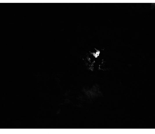 Maurizio Barberis H. Thoreau – Alone
