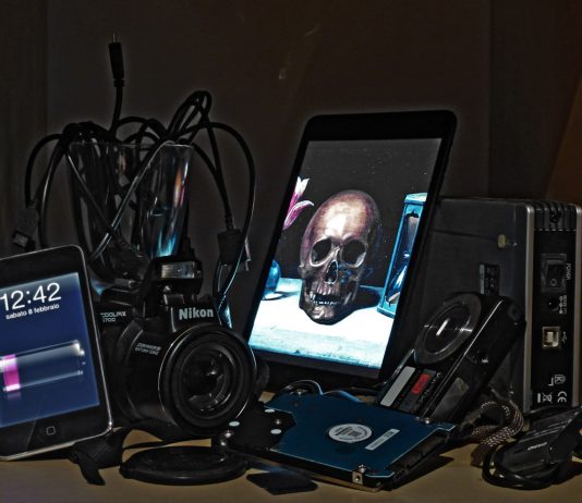 Welcome to the Wunderkammer