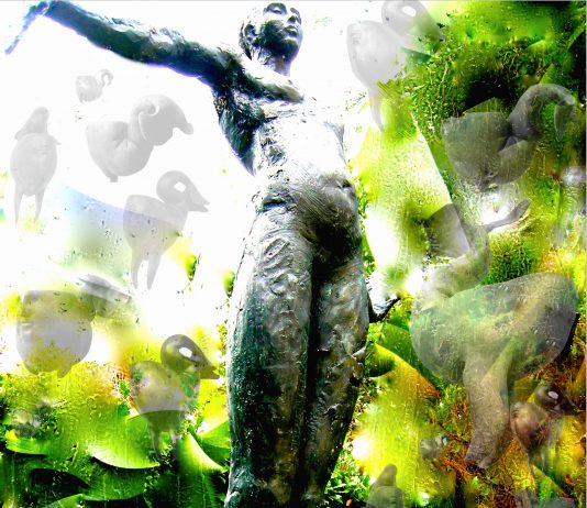 Andrea Nicita – Metamorphosis