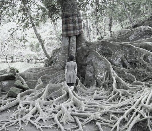 Anna Finetti – L’anima nascosta Anna Finetti – L’anima nascosta