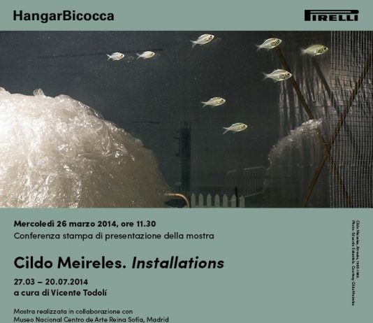 Cildo Meireles –  Installations