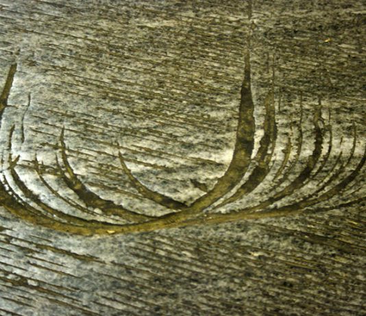 Fabrizio Loiacono  – Glance off it