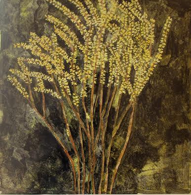 Francesca Bianchi Lurati – Stagioni