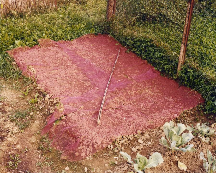 Gianluca Giorgio Agazzi – L’ortohttps://www.exibart.com/repository/media/eventi/2014/03/gianluca-giorgio-agazzi-8211-l8217orto.jpg