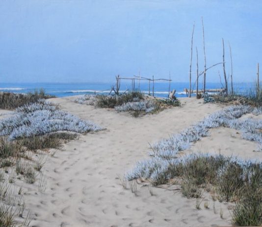 Ivo Mora – Natura e Materia