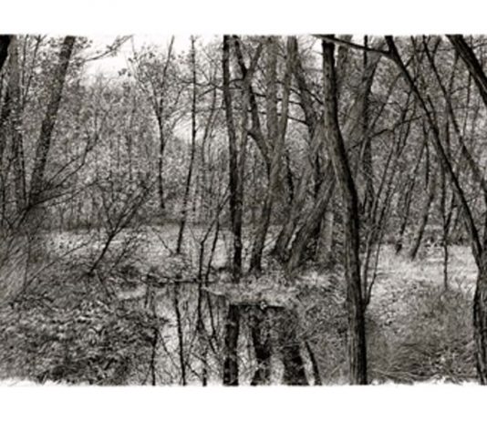 Livio Ceschin – Declinazioni di paesaggio. Incisioni dal 1991 al 2013