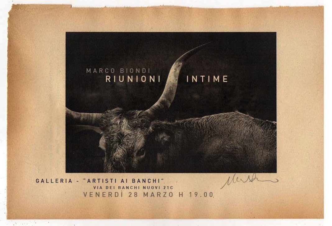 Marco Biondi – Riunioni intimehttps://www.exibart.com/repository/media/eventi/2014/03/marco-biondi-8211-riunioni-intime-1068x728.jpg