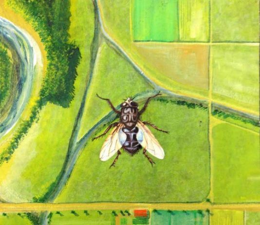 Marco Teatro – I colori