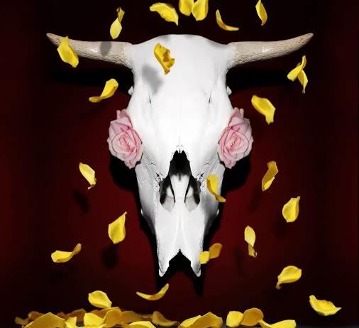 Massimiliano Messina – L’effimera bellezza