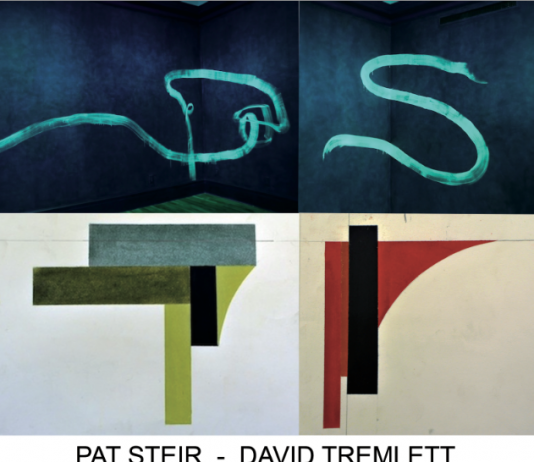 Pat Steir / David Tremlett – NEW WORKS FOR WALLS