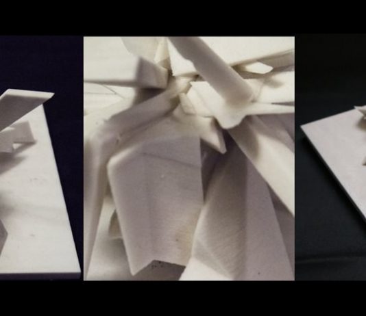 Riccardo Muroni – Libro Bianco