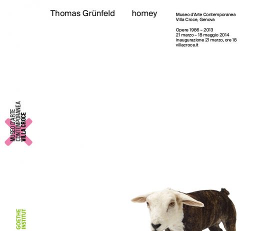 Thomas Grünfeld  – Homey. Opere dal 1981 al 2013