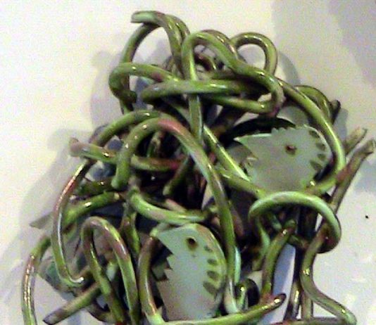 Walter Gatti / Roberto Dottorini – Due artisti a confronto