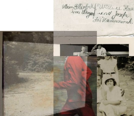 Zoltan Fazekas – R/953 Della vita delle immagini