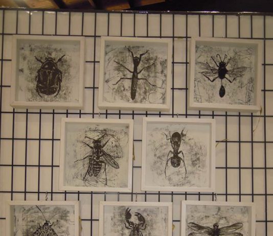 Alessandra Cossu – FUORI DAL CUBO Alessandra Cossu – FUORI DAL CUBO