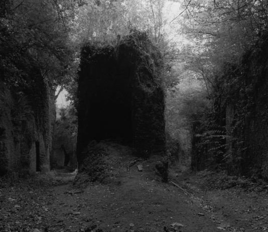 Cesare Di Liborio – Labyrinthos II