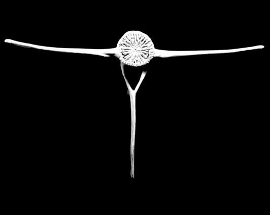 Charlotte Perriand fotografa e designer