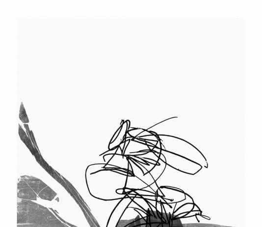 Cinzia Fiorese – Il paesaggio visto da vicino