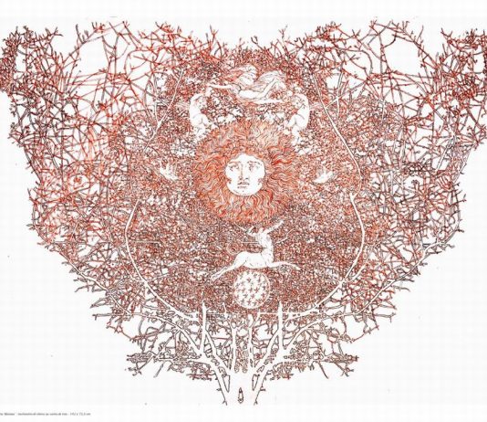 Fernando De Filippi –