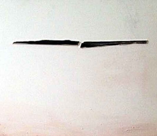 Francesca Libardoni – Nuovi orizzonti