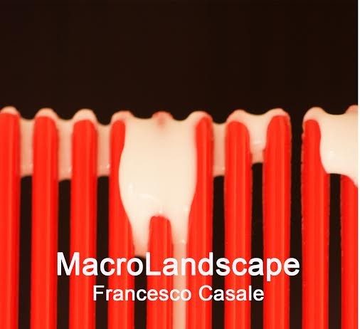 Francesco Casale – MacroLandscape