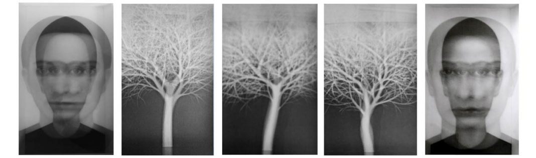 Jolanda Spagno  – Heimahttps://www.exibart.com/repository/media/eventi/2014/04/jolanda-spagno-8211-heima-1068x316.jpg