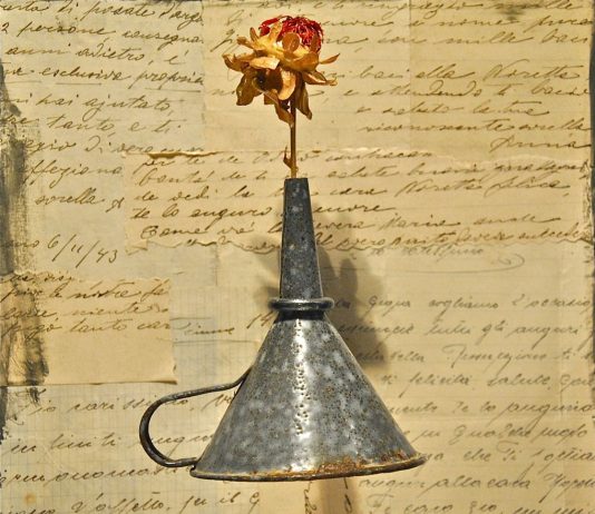 Luigi Merola – Ilex: Percorsi di Leggerezza Luigi Merola – Ilex: Percorsi di Leggerezza