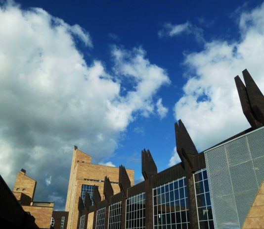 Paola Neri – Brac’s Art on table