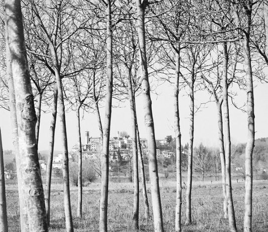 Andreini | Giungato | Torreggiani – Progetti