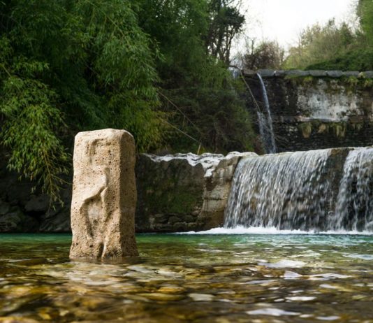 Benvenuto Saba – Natura Portante