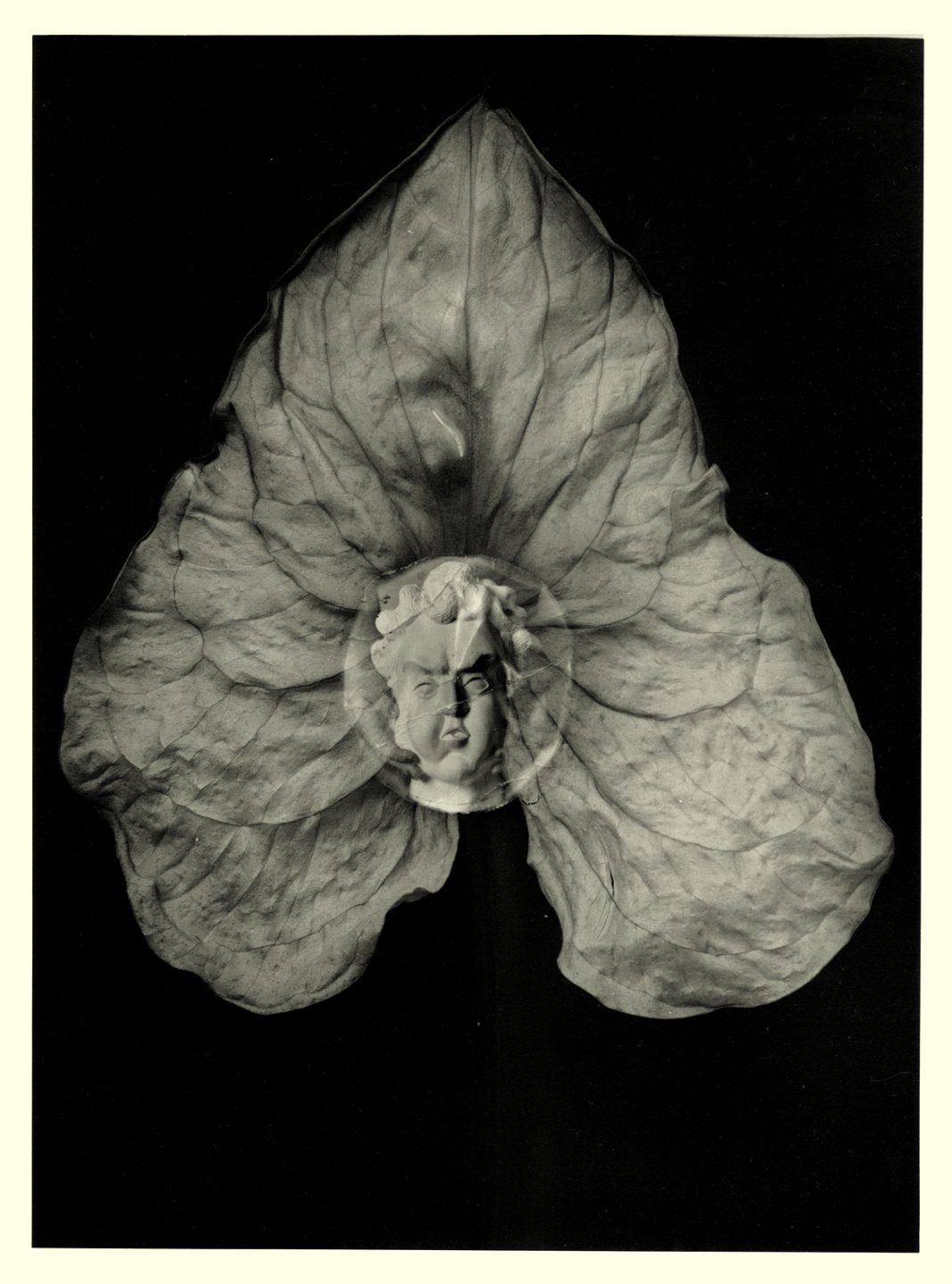 Enrico Fedrigoli – Objets à réaction poétiquehttps://www.exibart.com/repository/media/eventi/2014/05/enrico-fedrigoli-8211-objets-à-réaction-poétique-1068x1440.jpg