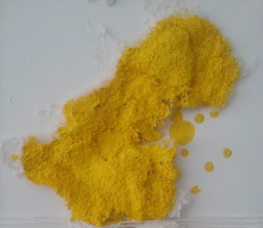 Marco Angelini – Gli oggetti e la pittura: trame e legami