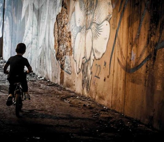 Massimiliano Cecchi – Next