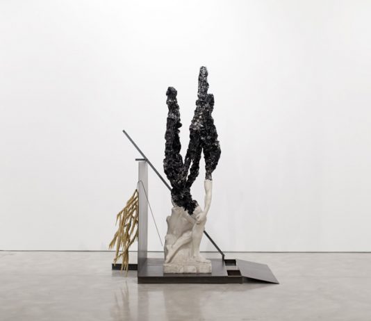 Nick van Woert –  Nature Calls