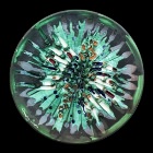 Adriana Olivari – Il Mio Cammino