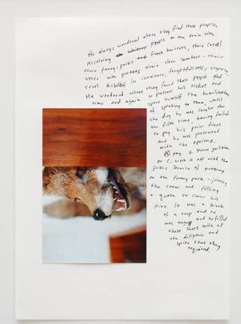 ars viva 2013/2014 Truth/Reality