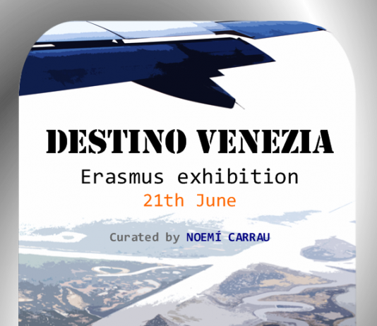 Erasmus Artlines con destino Venezia