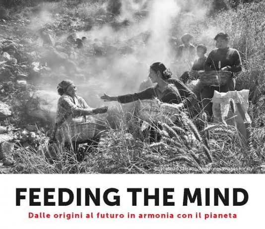 Feeding the mind Feeding the mind