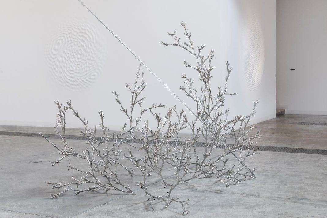Loris Cecchini – Bushwalkinghttps://www.exibart.com/repository/media/eventi/2014/06/loris-cecchini-8211-bushwalking-1068x713.jpg