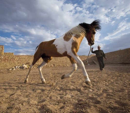 Anja Cop – Iran unimaginable