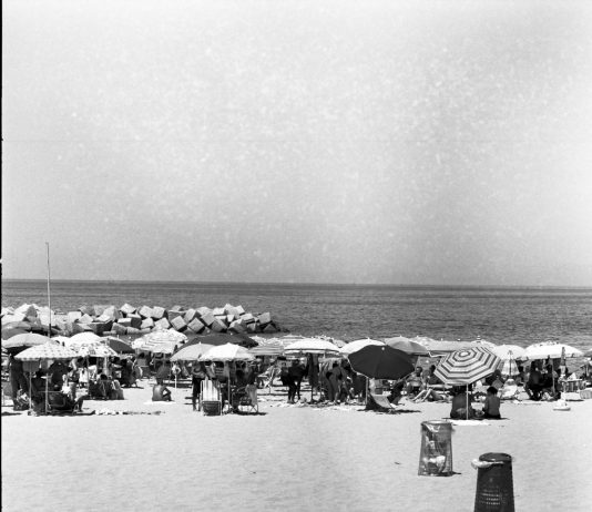 MArteSud – Dialoghi