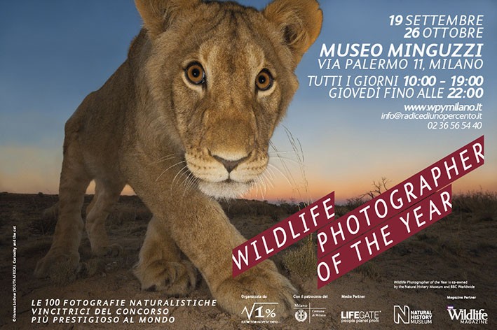 Wildlife Photographer of the Yearhttps://www.exibart.com/repository/media/eventi/2014/08/wildlife-photographer-of-the-year.jpg