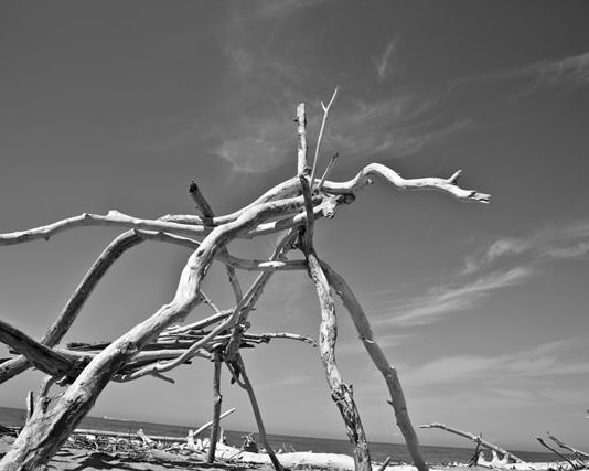 Claudio Vinci – Sliding Doors