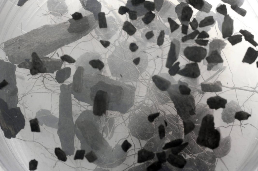 Emanuela Ascari – Materia Sensibilehttps://www.exibart.com/repository/media/eventi/2014/09/emanuela-ascari-8211-materia-sensibile-1068x710.jpg